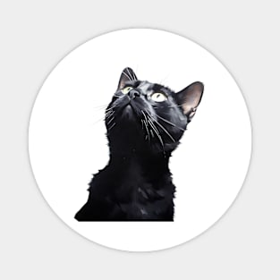 Black Cat Cute Look Magnet